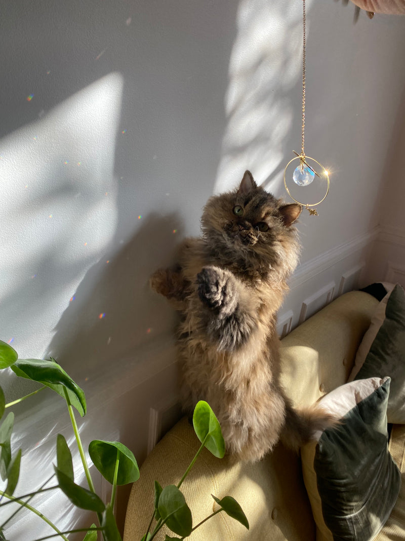 jouet chat attrape soleil sunchatcher joli jouet pour animaux