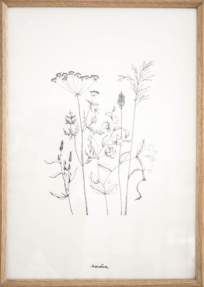 Illustration fleurs papier écologique Narrature 